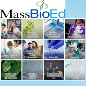 MassBioEd